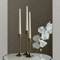 Luxury Sculptural Soy Wax Candle Set - Oriental Sandalwood & Berry Collection