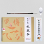 Reusable Water-Writeable Practice Pads
